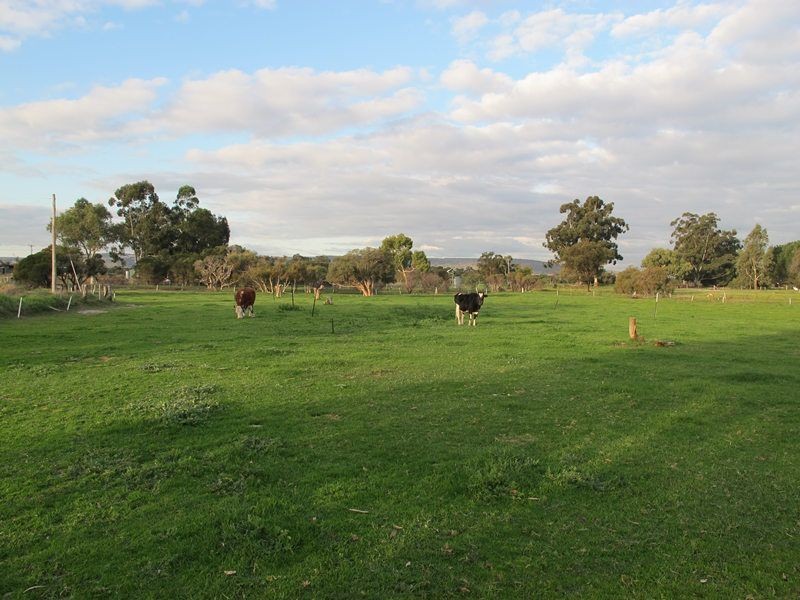 77 Matison Street, Southern River WA 6110