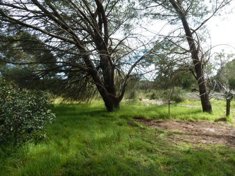 142 Victoria Road, Kenwick WA 6107