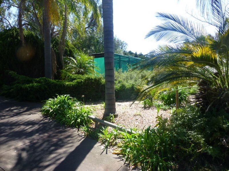 7 Wilfred Road, Canning Vale WA 6155