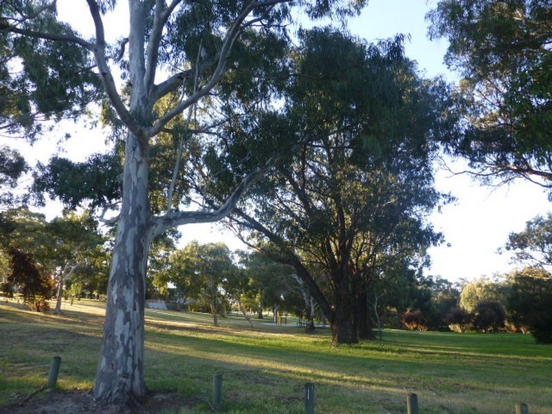 19 Glenbrook Road, Thornlie WA 6108