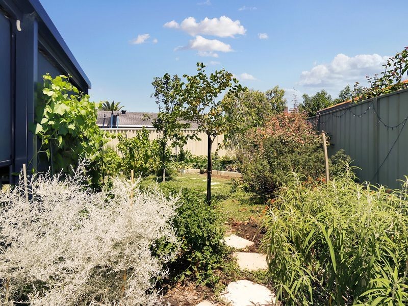 34 Latimer Way, Langford WA 6147