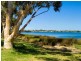 66 Wendouree Road, Wilson WA 6107
