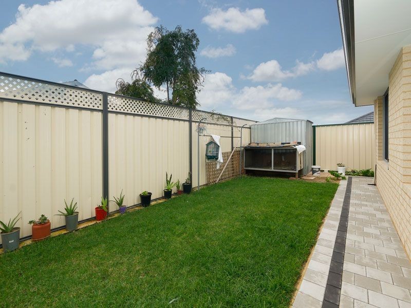 12 Juncea Way, Hammond Park WA 6164