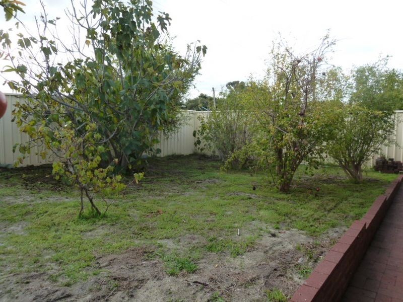 1 Dove Street, Thornlie WA 6108