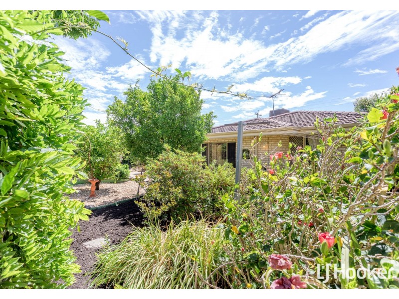 34 Grundy Way, Thornlie WA 6108