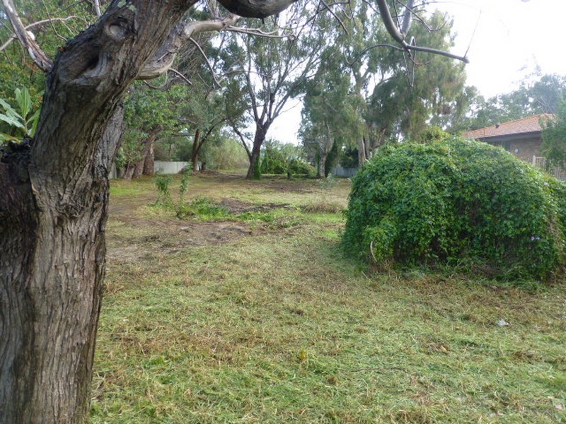 19 Westfield Street, Maddington WA 6109