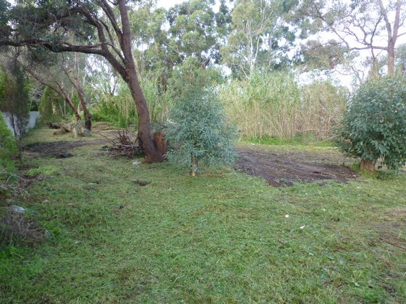 19 Westfield Street, Maddington WA 6109