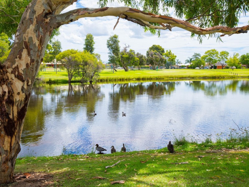 30 Stonecreek Close, Thornlie WA 6108