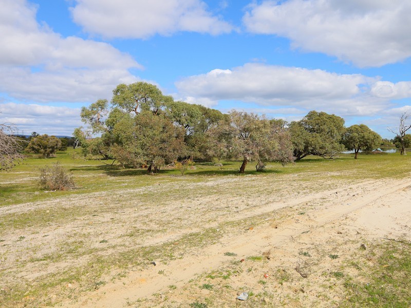 205 Verna Street, Gosnells WA 6110