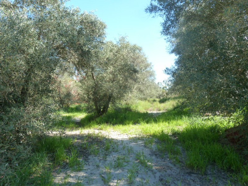 60 Victoria Road, Kenwick WA 6107