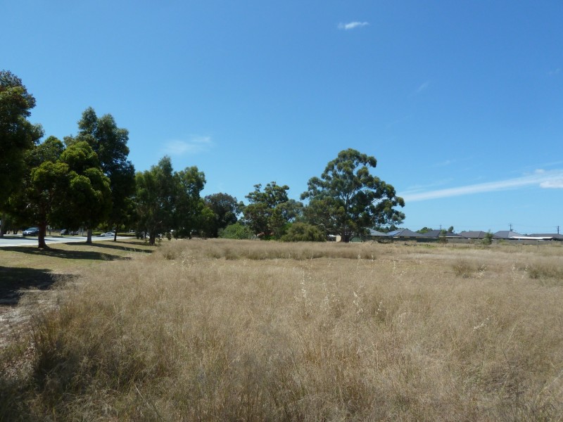 4 Burgandy Court, Thornlie WA 6108