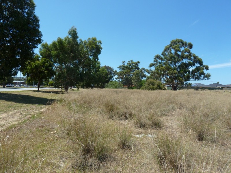 Lot 801 Gillam Drive, Seville Grove WA 6112