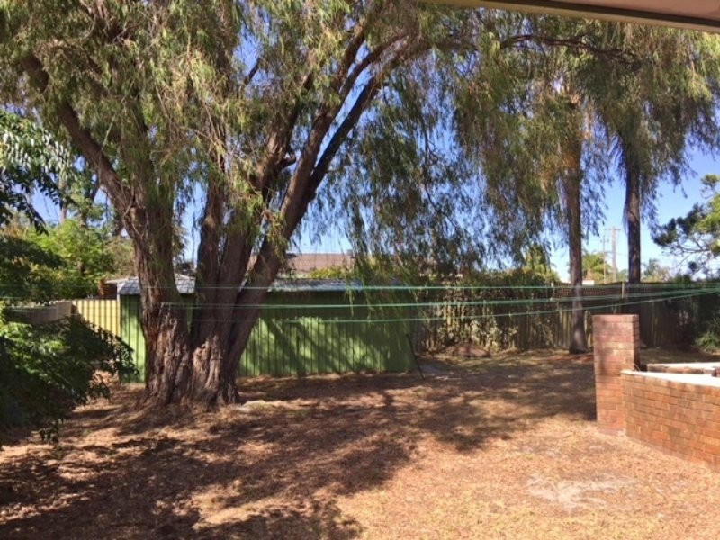 16 Cerberus Avenue, Parkwood WA 6147