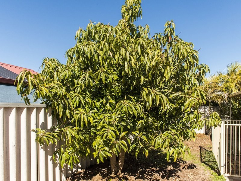 156 Harpenden Street, Huntingdale WA 6110