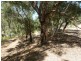 Lot 298 Emerald Place, Mount Richon WA 6112