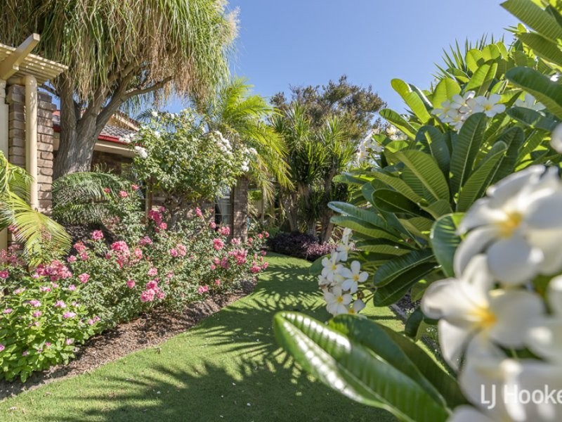 18 Honeysuckle Place, Thornlie WA 6108