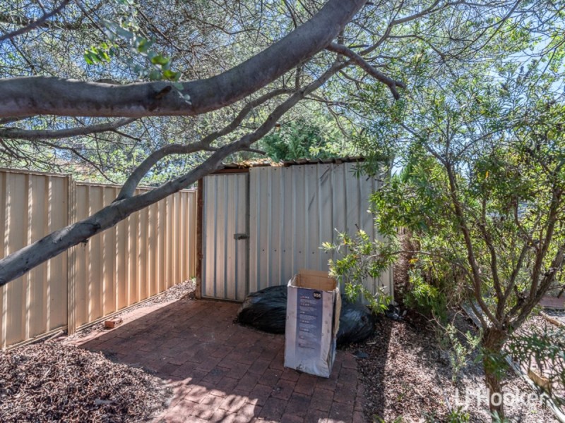 3 Patfield Place, Kelmscott WA 6111