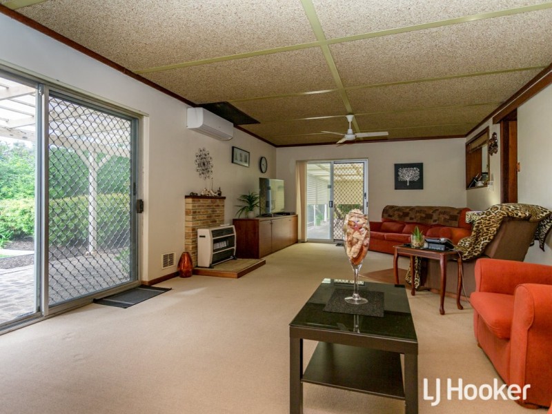 10 Palin Court, Langford WA 6147