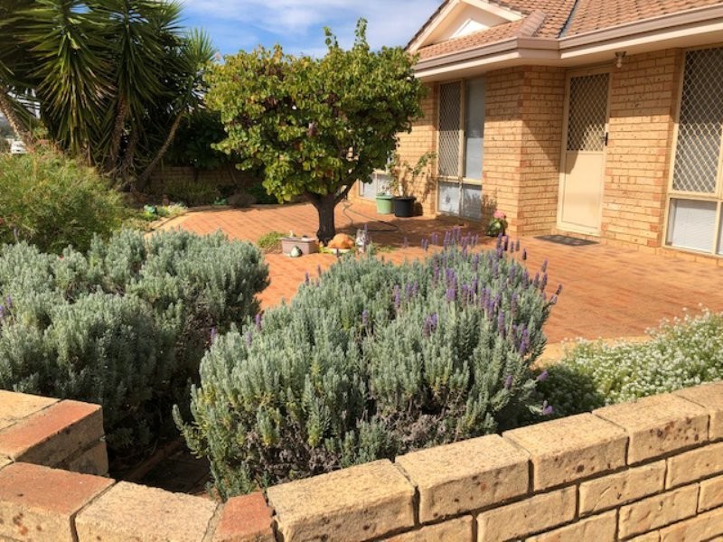 8/17 Attfield Street, Maddington WA 6109