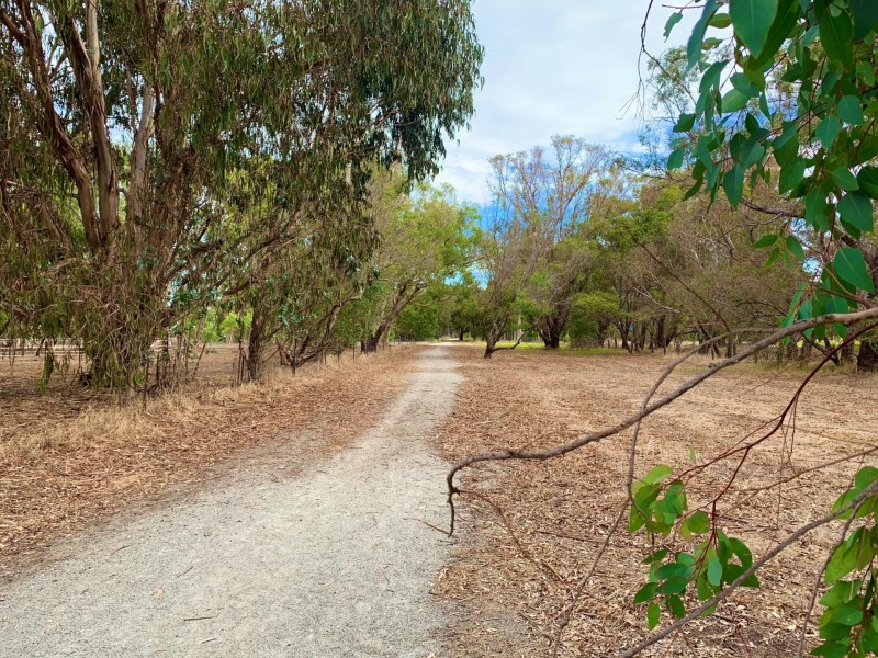 13 Choctaw Place, Darling Downs WA 6122