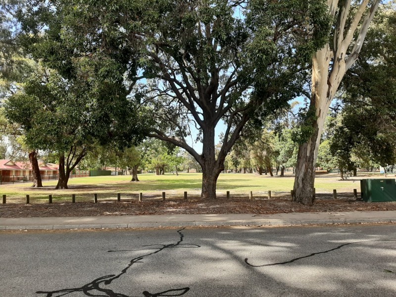 13 Walter Street, Gosnells WA 6110