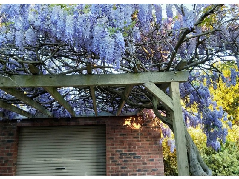 21 Osprey Way, Thornlie WA 6108