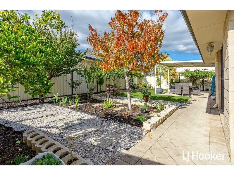 38 John Forrest Circuit, Bertram WA 6167