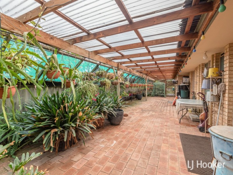 14 Carpenteria Crescent, Kenwick WA 6107