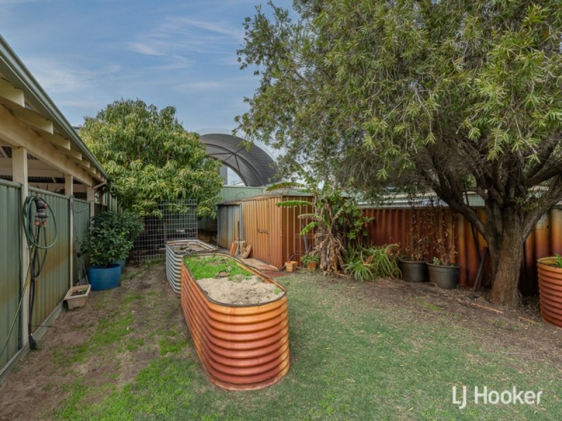 14 Carpenteria Crescent, Kenwick WA 6107