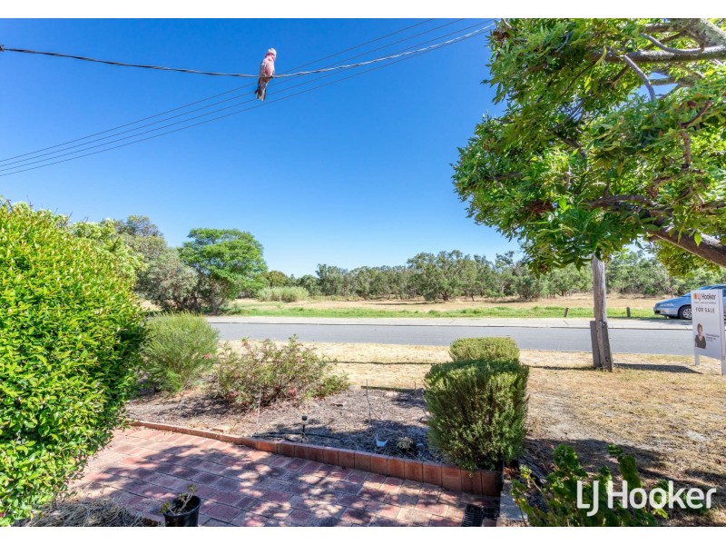 31 Ellison Drive, Langford WA 6147