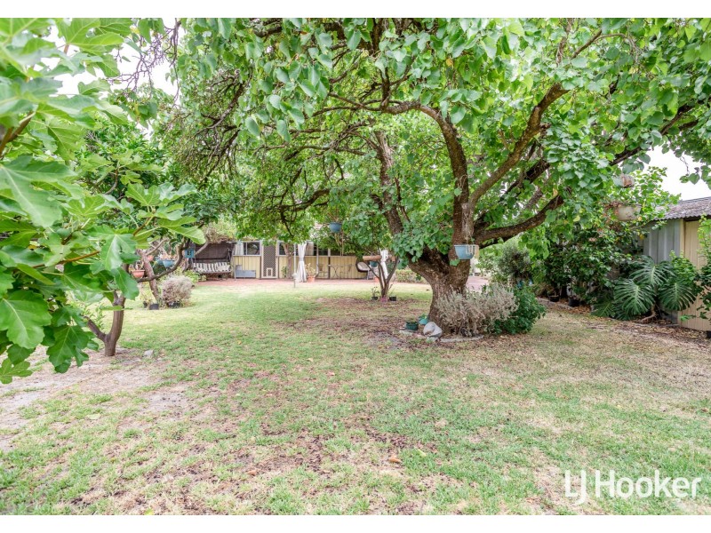 22 Selby Street, Thornlie WA 6108