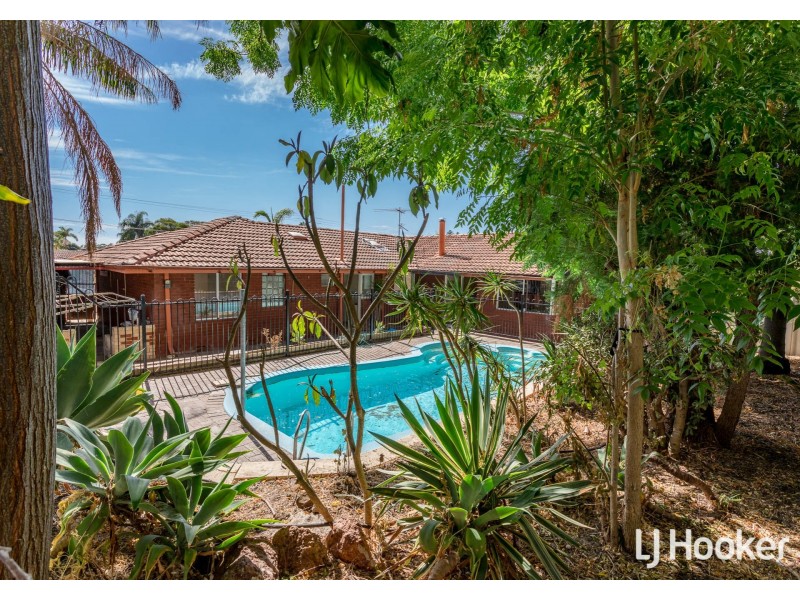 59 McNamara Drive, Thornlie WA 6108