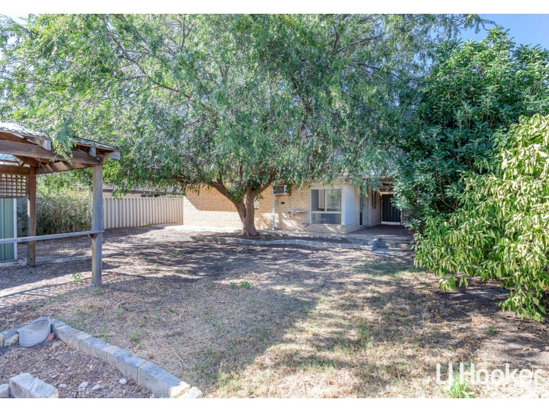 7 Hotchkiss Close, Thornlie WA 6108