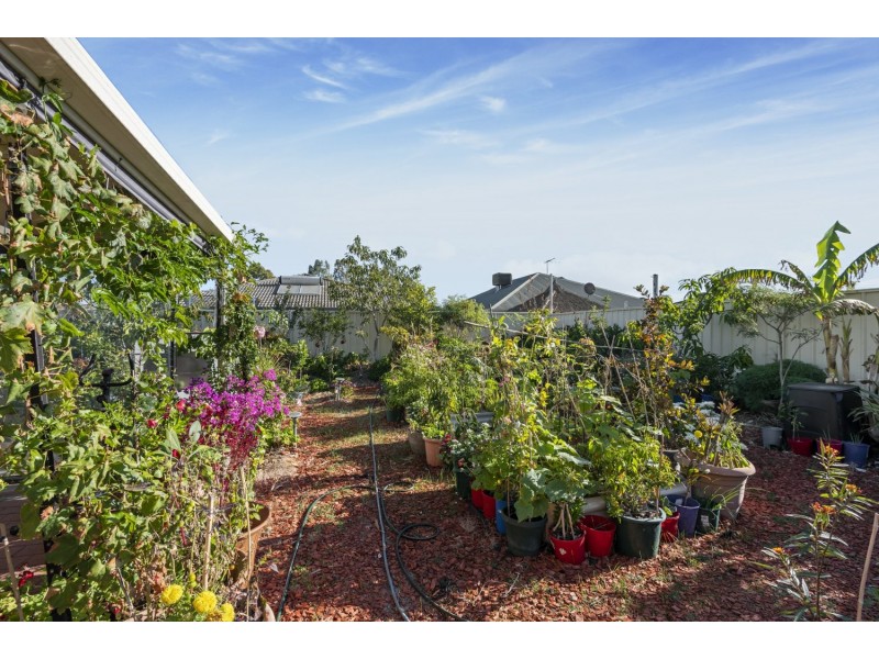 13 Hutt Way, Gosnells WA 6110