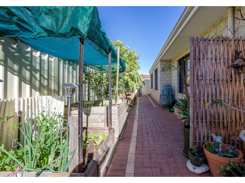 3 Jenkins Lane, Langford WA 6147
