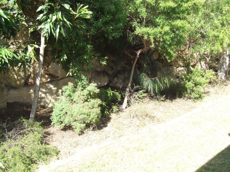 8 Washpool Street, North Lakes QLD 4509