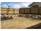 North Lakes QLD 4509