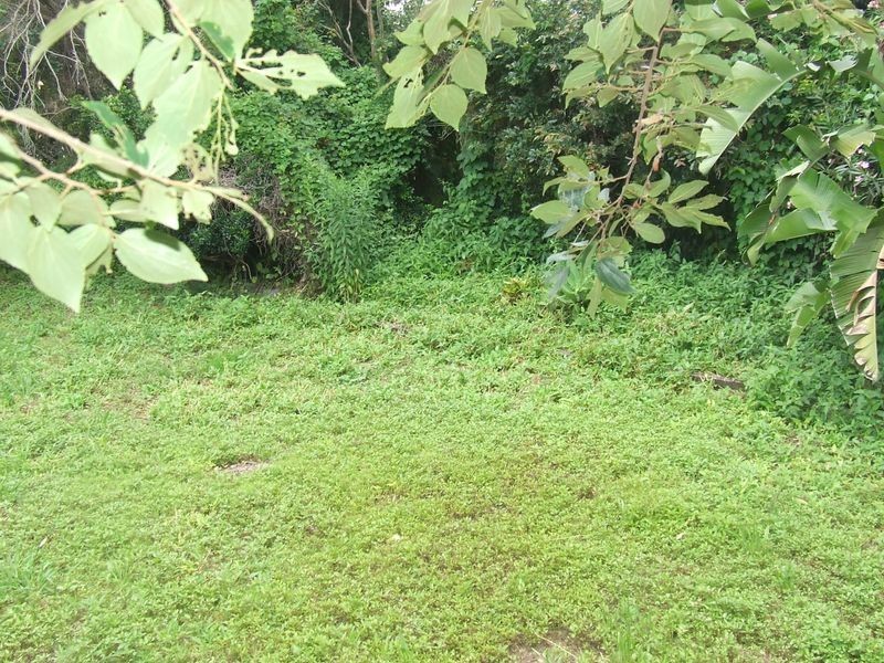 4 View Road, Enoggera QLD 4051