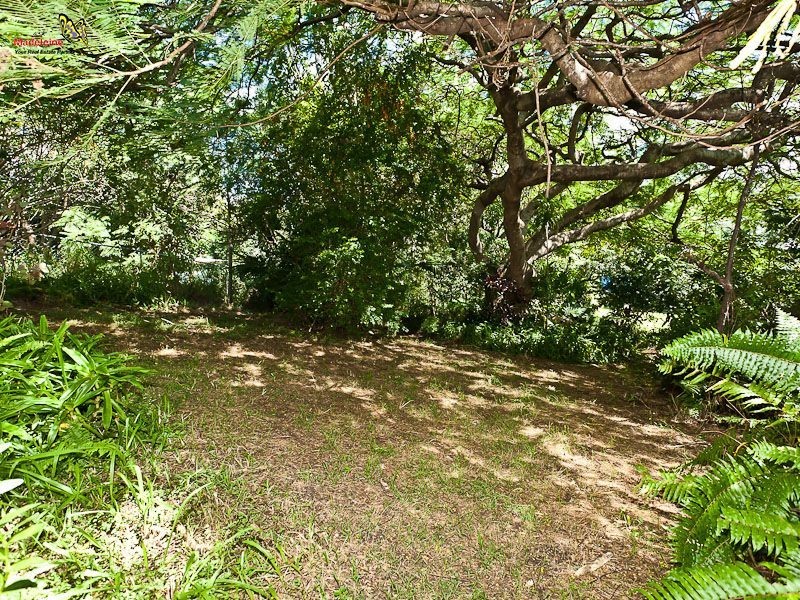 334 Webster Road, Stafford Heights QLD 4053