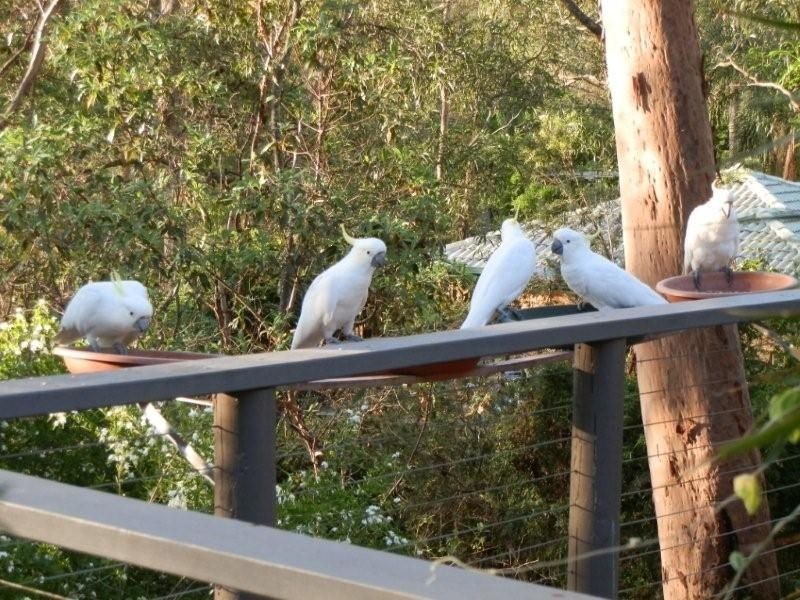 3 Somers Street, Cashmere QLD 4500