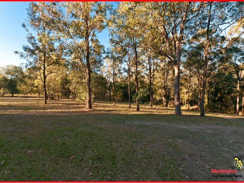 4 Mangifera Close, Wights Mountain QLD 4520