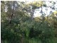 1000 Bribie Island Road, Ningi QLD 4511