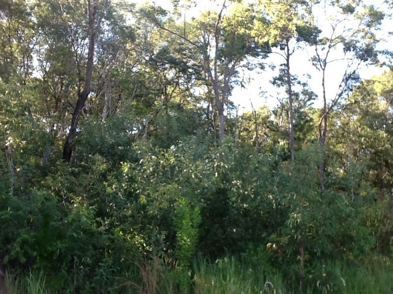 1000 Bribie Island Road, Ningi QLD 4511