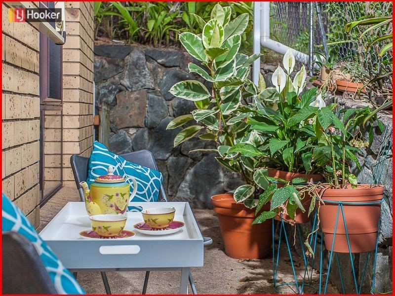 39 Pimelea Street, Everton Hills QLD 4053