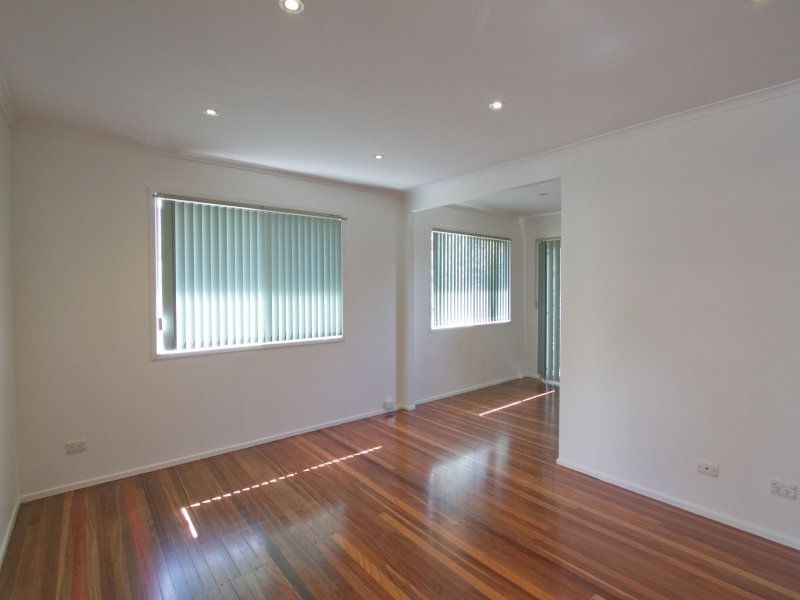 16 Grevillea Street, Everton Hills QLD 4053