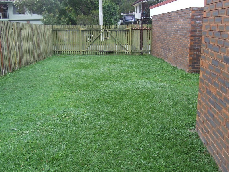 50 Pimelea Street, Everton Hills QLD 4053