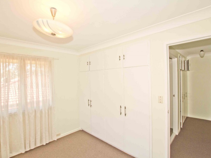 41 Braidwood Street, Everton Park QLD 4053