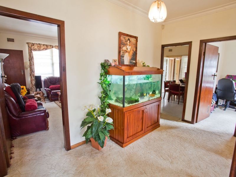 16 Vicliffe Avenue, Campsie NSW 2194