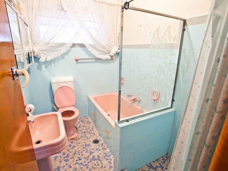 5 Julie Avenue, Clemton Park NSW 2206