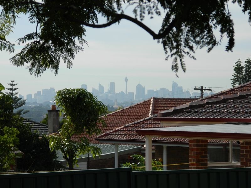 191 Wardell Road, Earlwood NSW 2206